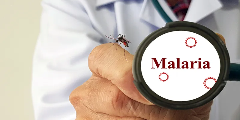 Malaria: Symptoms, Diagnosis, and Prevention